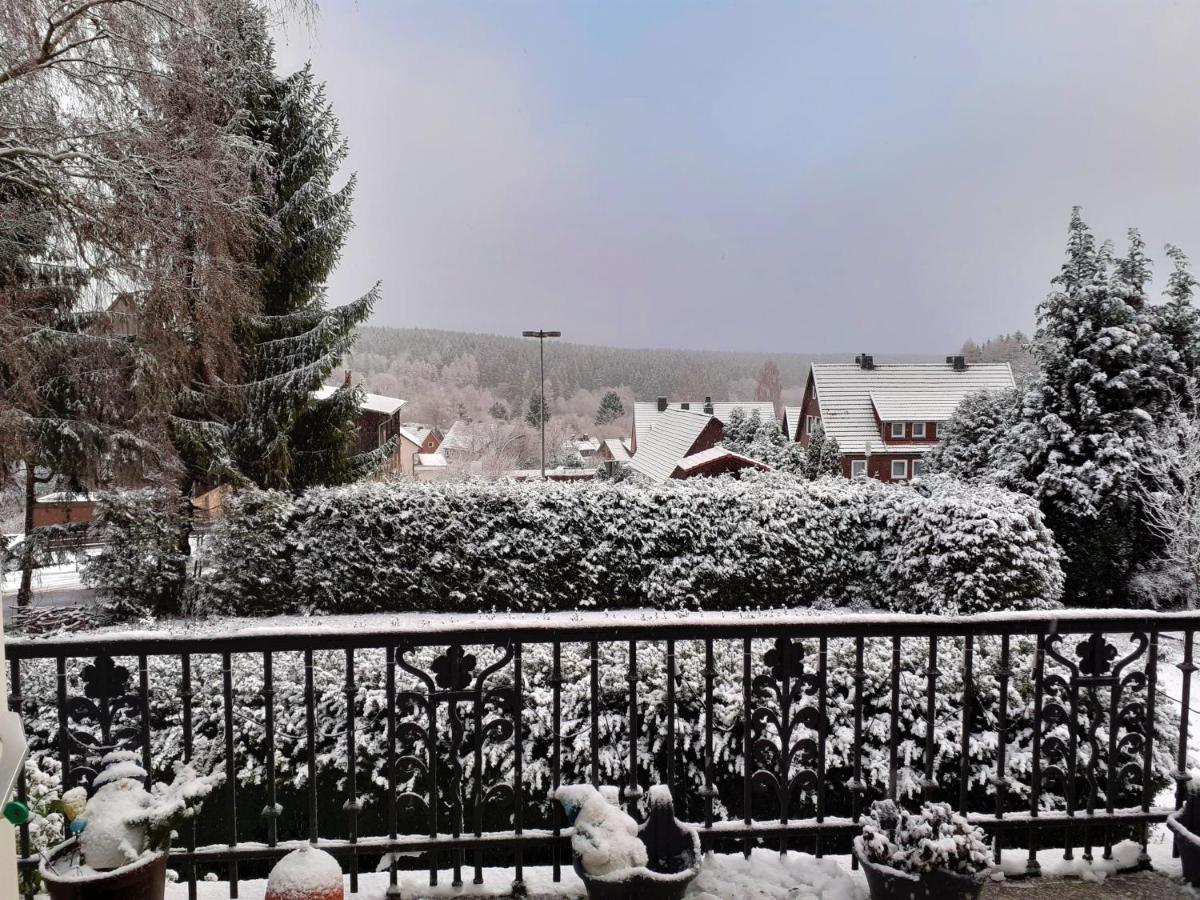 Villa Tannerhof Braunlage Eksteriør billede