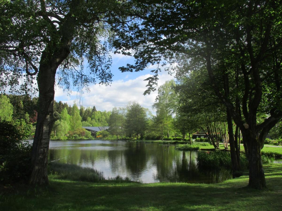Villa Tannerhof Braunlage Eksteriør billede