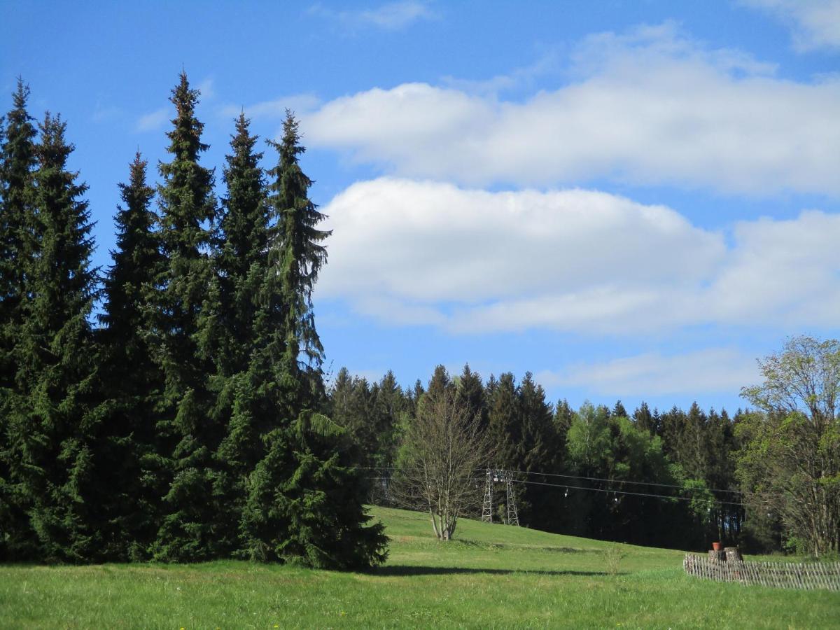 Villa Tannerhof Braunlage Eksteriør billede
