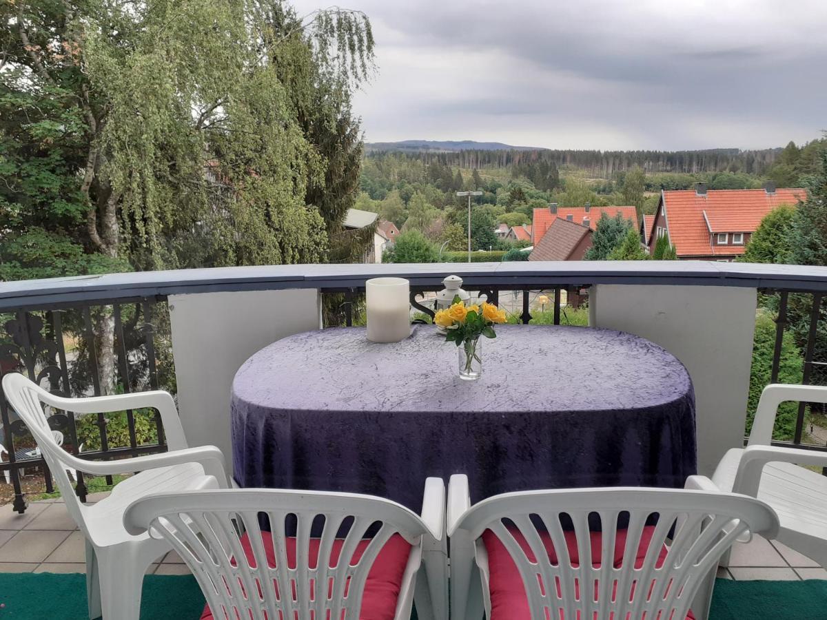 Villa Tannerhof Braunlage Eksteriør billede